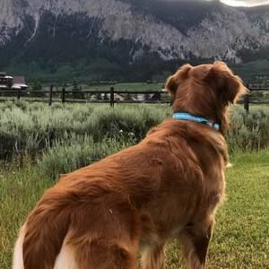 Meet your Posher, Kelly